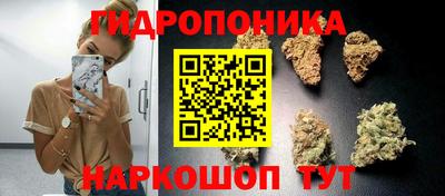 трава Майкоп